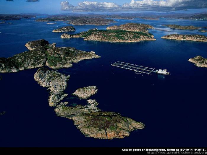 Slide15 (700x525, 47Kb)