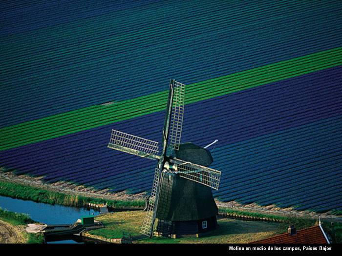 Slide17 (700x525, 66Kb)