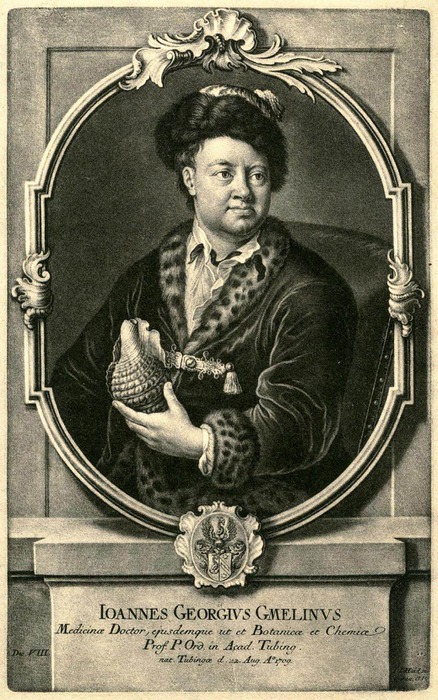 Johann_Georg_Gmelin (438x700, 148Kb)