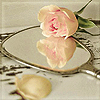 4530896_Bezimeni6 (100x100, 30Kb)
