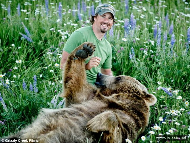 Casey_and_Brutus_001 (640x482, 88Kb)