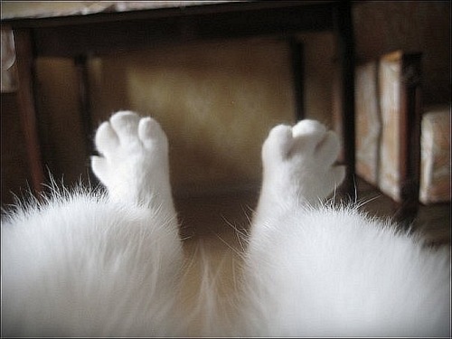 72703451_tumblr_lilhzbjhQN1qzz4x7o1_500[1] (500x375, 44Kb)