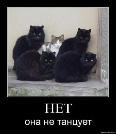 4289686_1284645636_s3img_28884756_12735_4 (390x450, 14Kb)