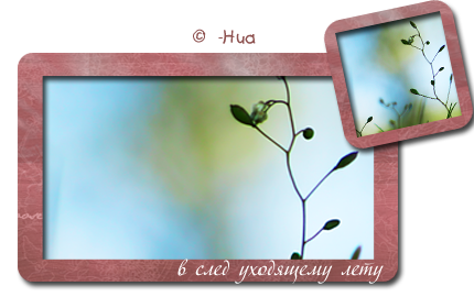 3770037_Preview_of_1_ (430x270, 142Kb)