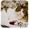 4530896_cat_1 (100x100, 23Kb)