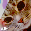 4530896_cat_5 (100x100, 30Kb)