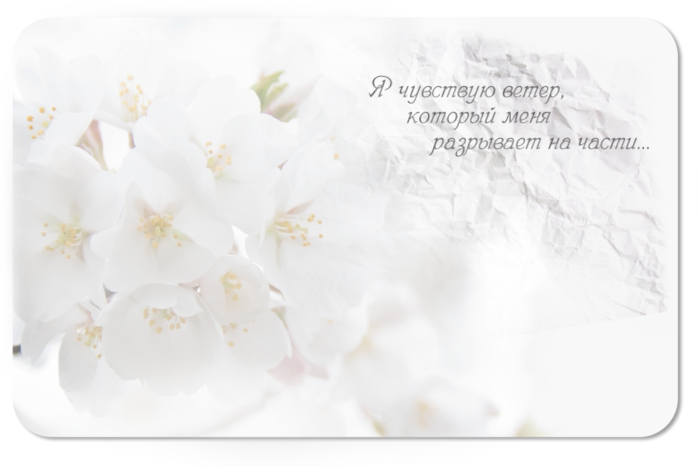 3770037_1448581440x900 (700x466, 279Kb)