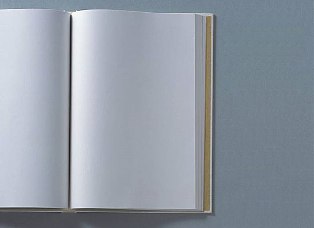 book2 (314x228, 8Kb)