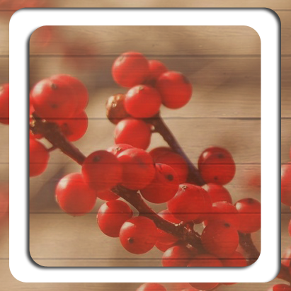 3770037_4 (411x411, 189Kb)