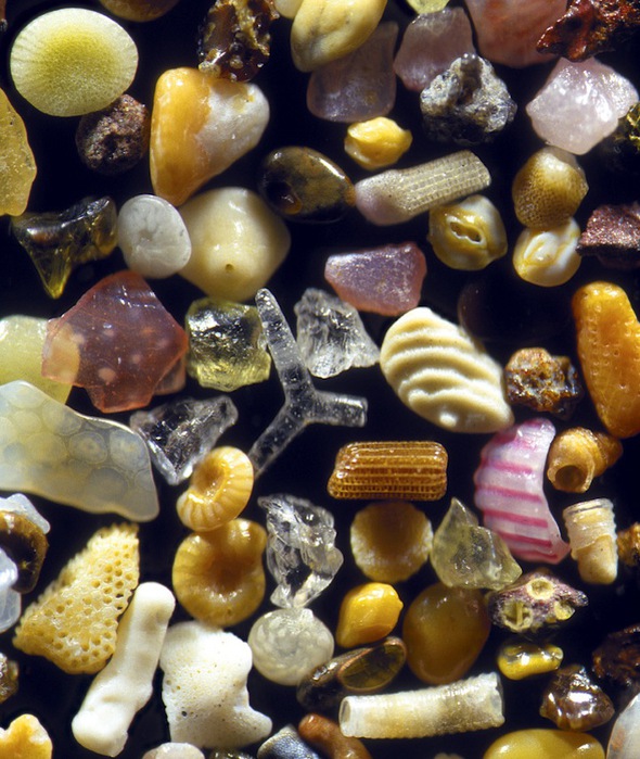 Magnified-Grains-of-Sand-3 (590x700, 150Kb)