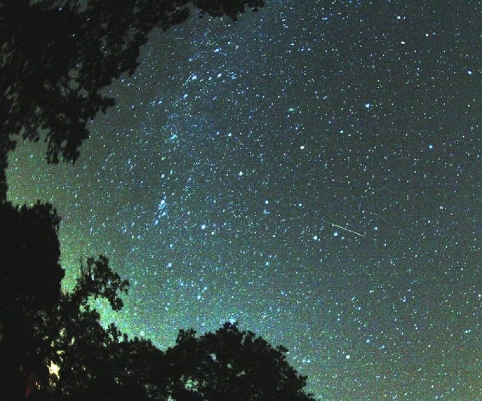 3869930_1074106_482_401_source (482x401, 198Kb)