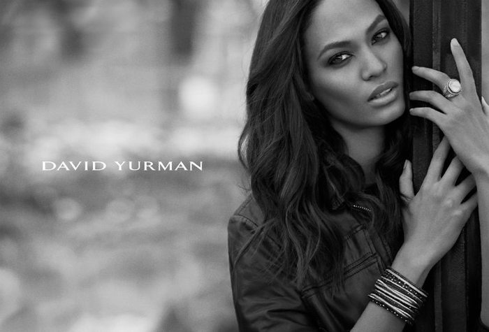 2582312_davidyurmancampaign1 (700x475, 43Kb)