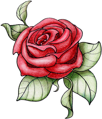 Rose02 (430x500, 103Kb)