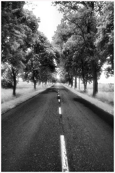 13_07_2009_0140877001247483908_marcin8530 (466x700, 131Kb)