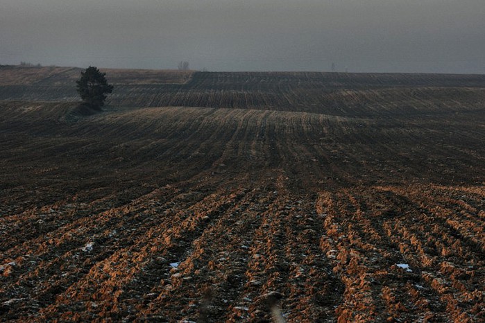 13_07_2009_0167992001247483908_marcin8530 (700x466, 107Kb)