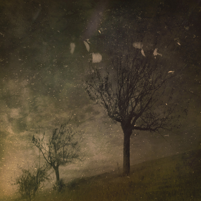f6422a0e3fac (700x700, 196Kb)