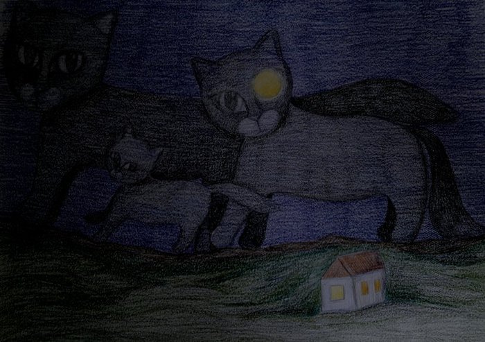 26072011543 (700x493, 80Kb)