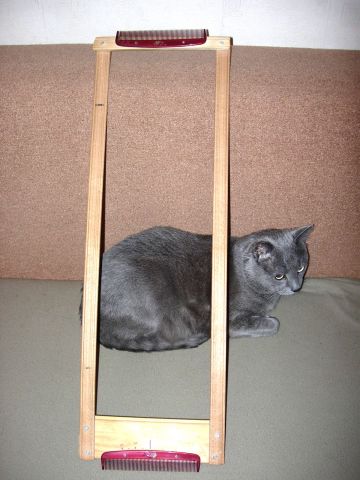  (360x480, 29Kb)