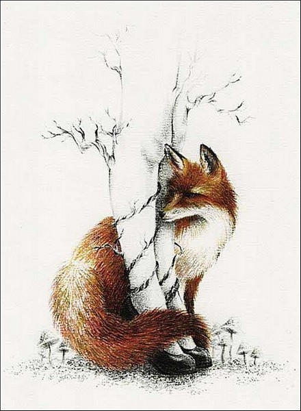 1312849816_brims-4 (440x600, 156Kb)