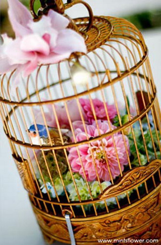 75928483_large_birdcagedecoration33 (330x500, 67Kb)