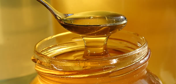 mjod-poleznye-svojstva-honey-benefit (610x290, 31Kb)
