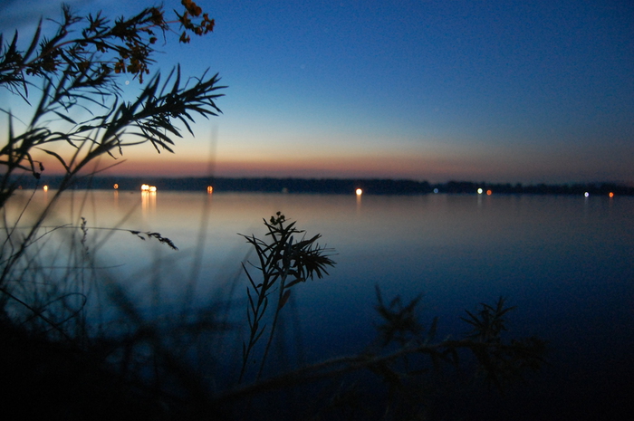 DSC_0279 (700x465, 218Kb)