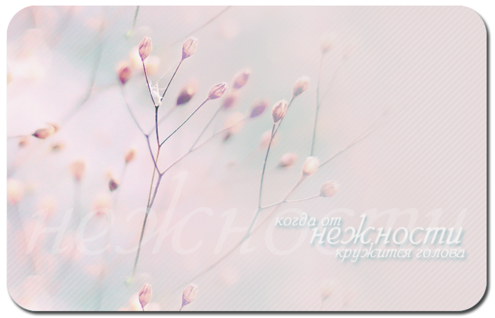 3770037_02 (700x449, 389Kb)
