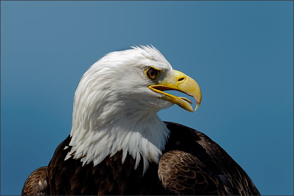 Bild13_013 (602x403, 33Kb)