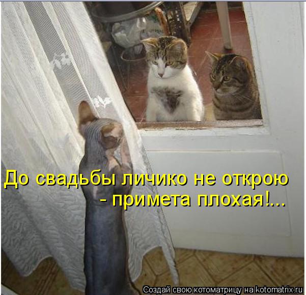 http://img0.liveinternet.ru/images/attach/c/3/77/19/77019952_74737847_large_3802001_1_26.jpg