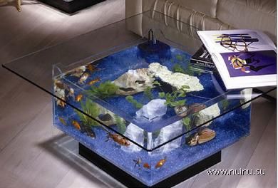 1229266523_creative-aquariums-01 (390x264, 23Kb)