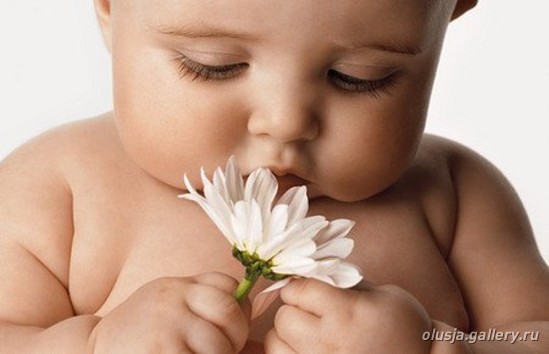 3271256_ad8446c90428 (549x354, 32Kb)