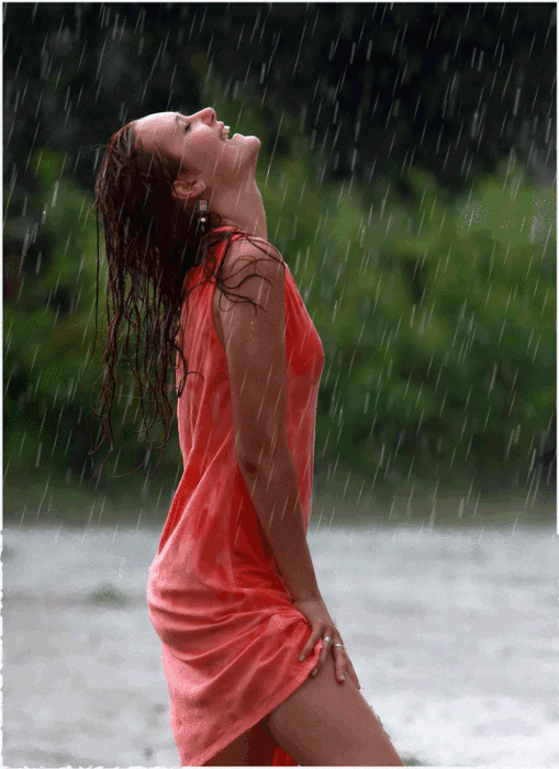 3571750_1308585574_0bdd6cf09cb4 (509x700, 367Kb)