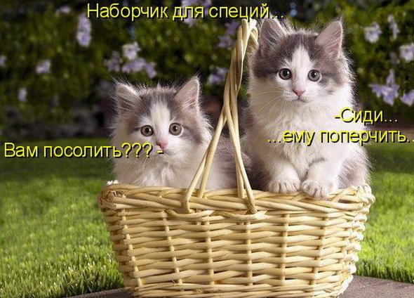5)))) (590x424, 73Kb)
