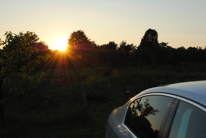 DSC_0226 (700x468, 178Kb)
