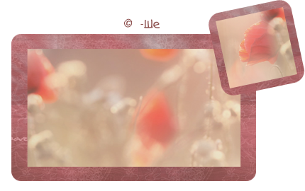 Preview_of  (430x270, 117Kb)