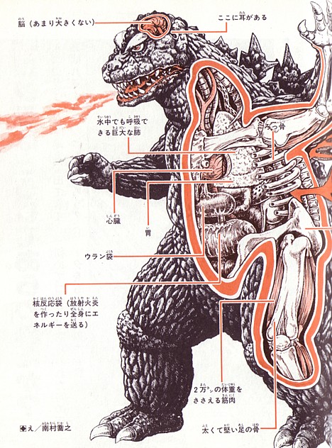 anatomy-godzilla (468x632, 132Kb)