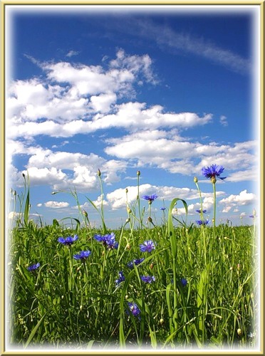0_26fb7_1c48a989_L (372x500, 69Kb)