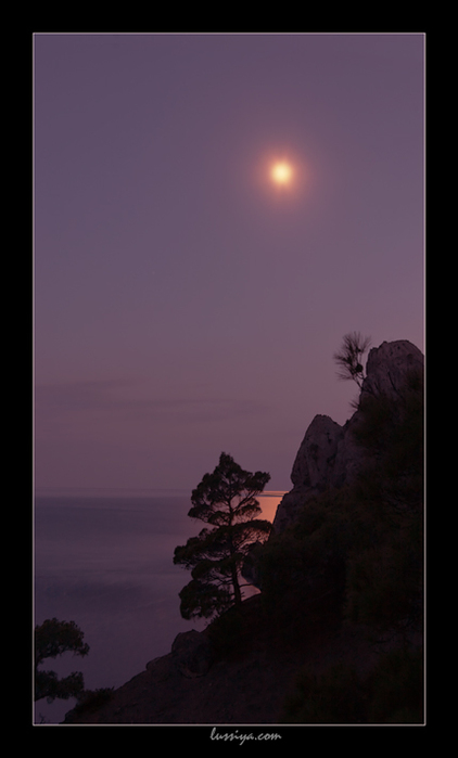 4130427_large (422x700, 105Kb)