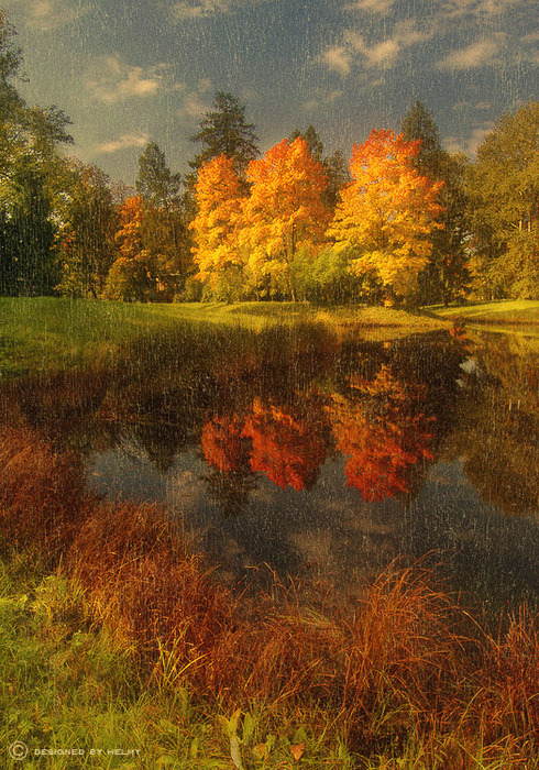3835993_large (490x700, 260Kb)