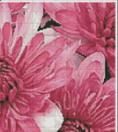  Artecy CS Pink Chrysanthemums.jpg   (629x700, 408Kb)