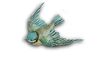 bluebird (185x117, 20Kb)