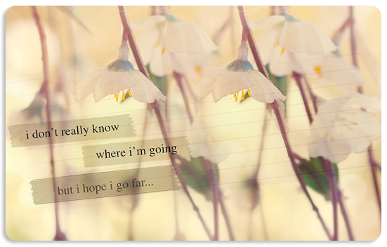 3770037_1 (551x352, 261Kb)