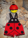 DSC05009 (525x700, 330Kb)