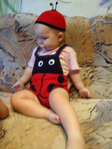  DSC04996 (525x700, 276Kb)