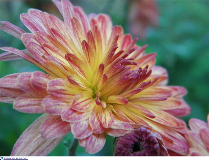 8f993dfd53edt (700x537, 68Kb)