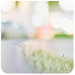 av_memo2 (150x150, 36Kb)