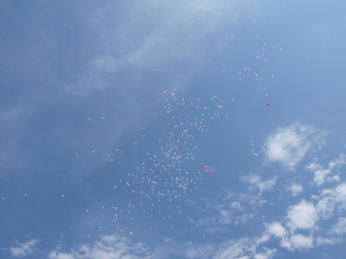 3659723_P8201813 (700x525, 184Kb)