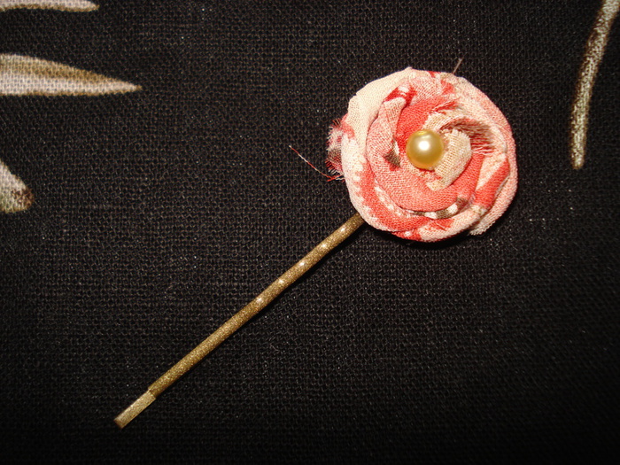 DSC03721 (700x525, 200Kb)