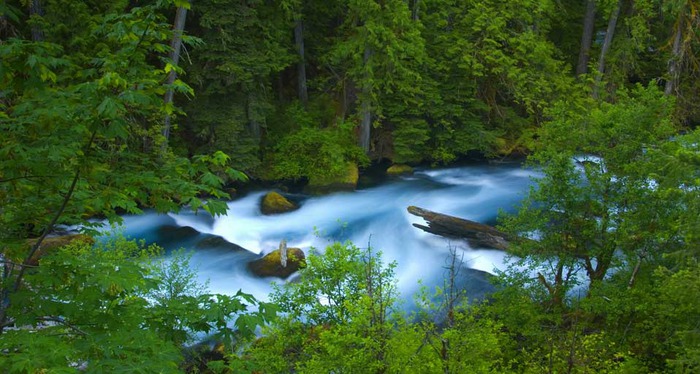 McKenzieRiver_ROW580538559 (700x374, 108Kb)