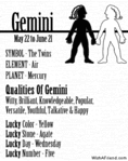  3.gemini (300x380, 33Kb)
